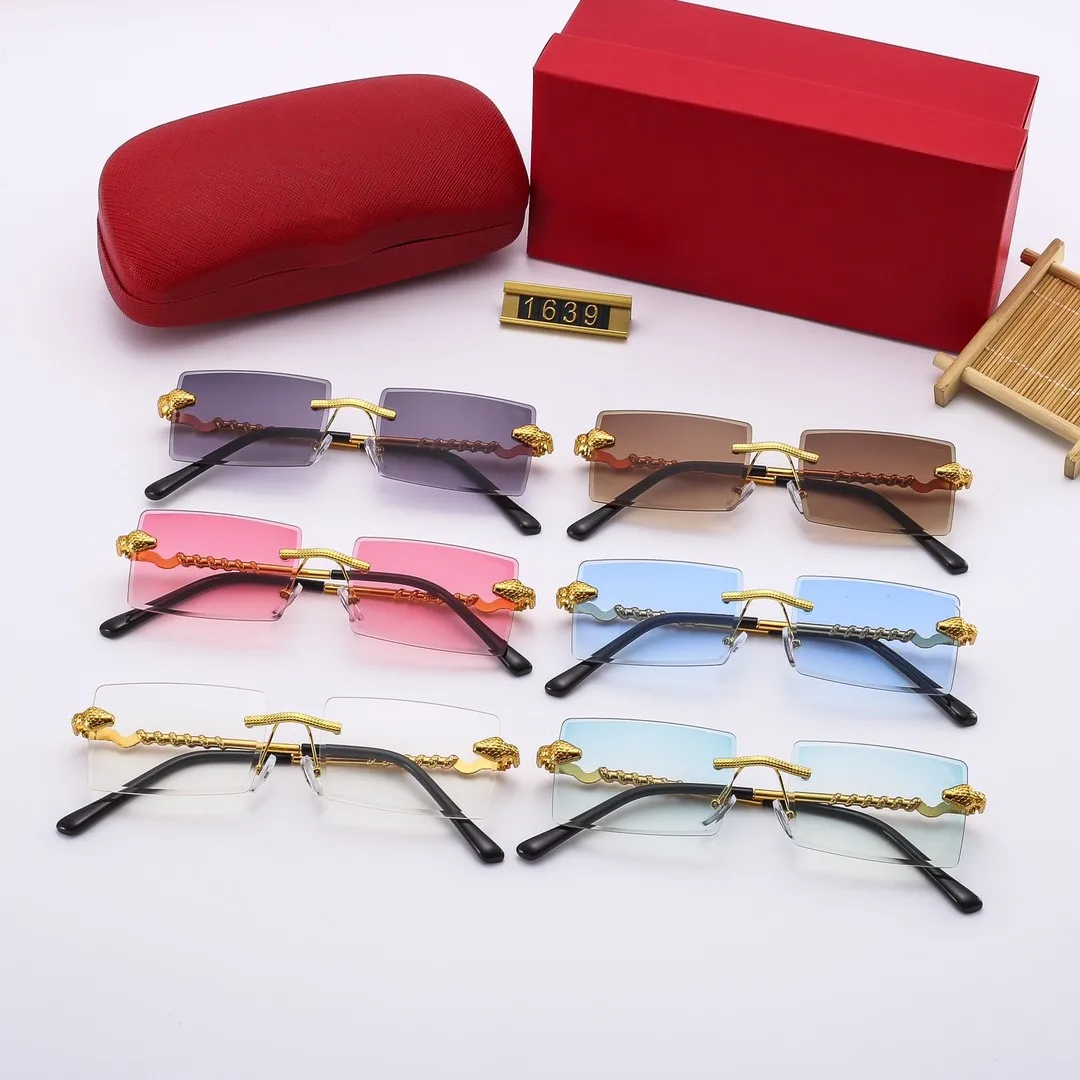 ������ �繮�� ���۶�, ������ �Ȱ�, ���� ���� ����, �Ÿ� ����, ����, ���ο� �м� �귣�� ������, 2023