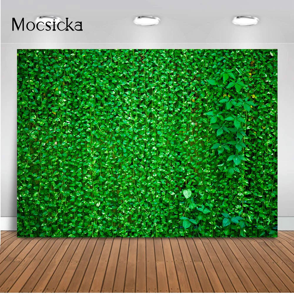 Mocsicka ܵ     ȥ ź       Ŀ Ʃ