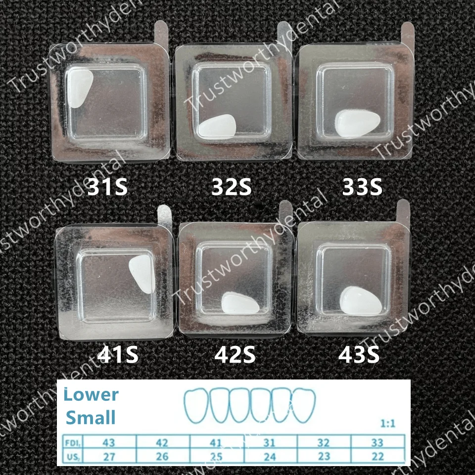 Lower-S x1Set