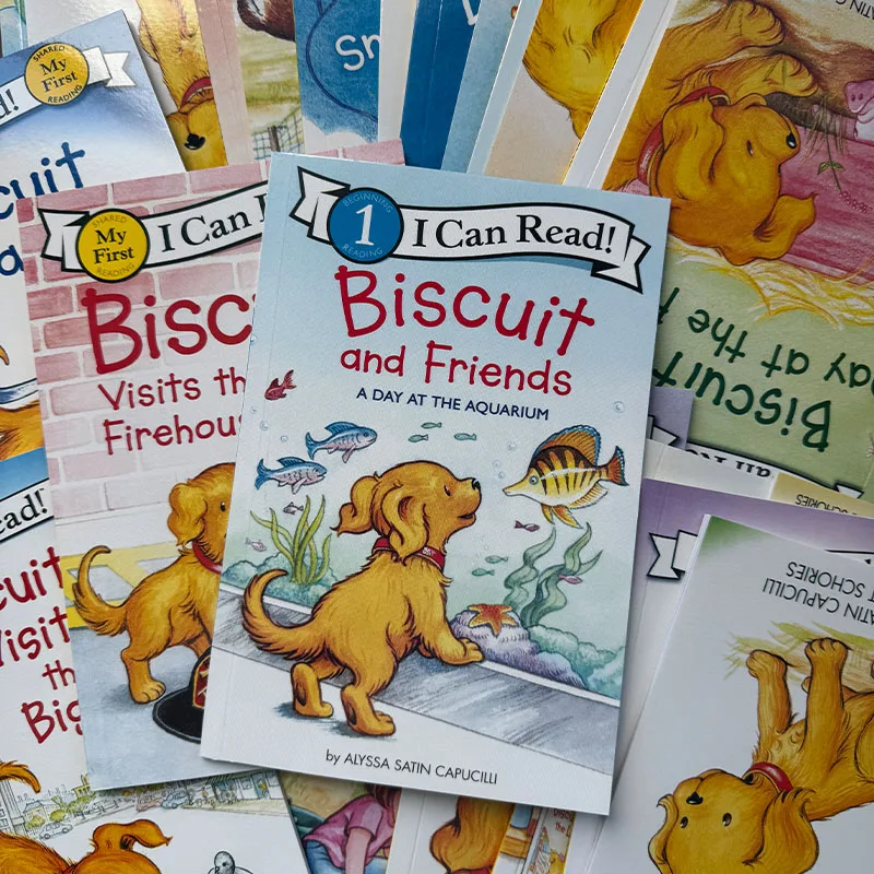 Biscuit I Can Read Set 4