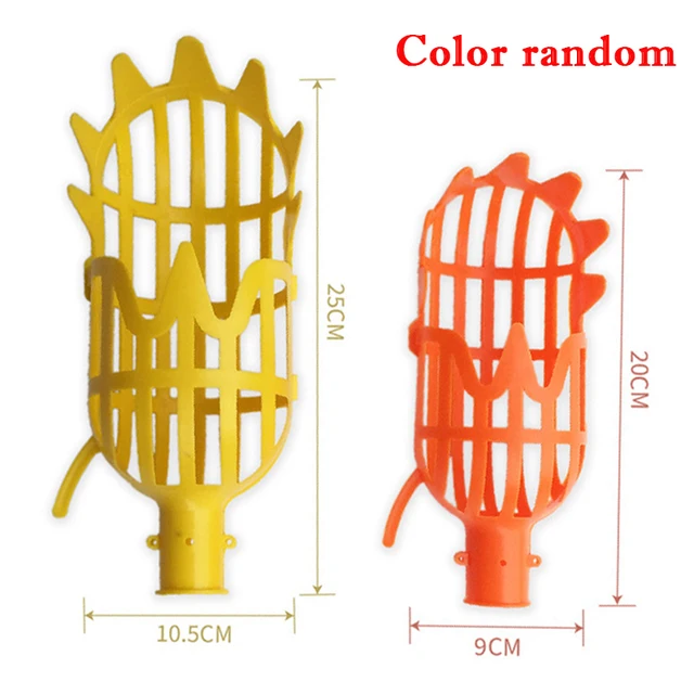 S and L random color