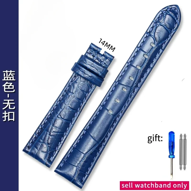 売店] スワロフスキー レディース グリーン サブマリーナ