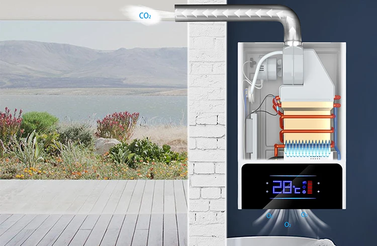 China Wholesale Price Smart Home Appliance 10L 12L Tankless Instant Gas  Geyser Water Heater - AliExpress