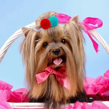Cute Fashion 3cm Classic Small Ball Elastic Rubber Band Dog Grooming Tools Handmade Pet Supplies for Dog Cat Accessories