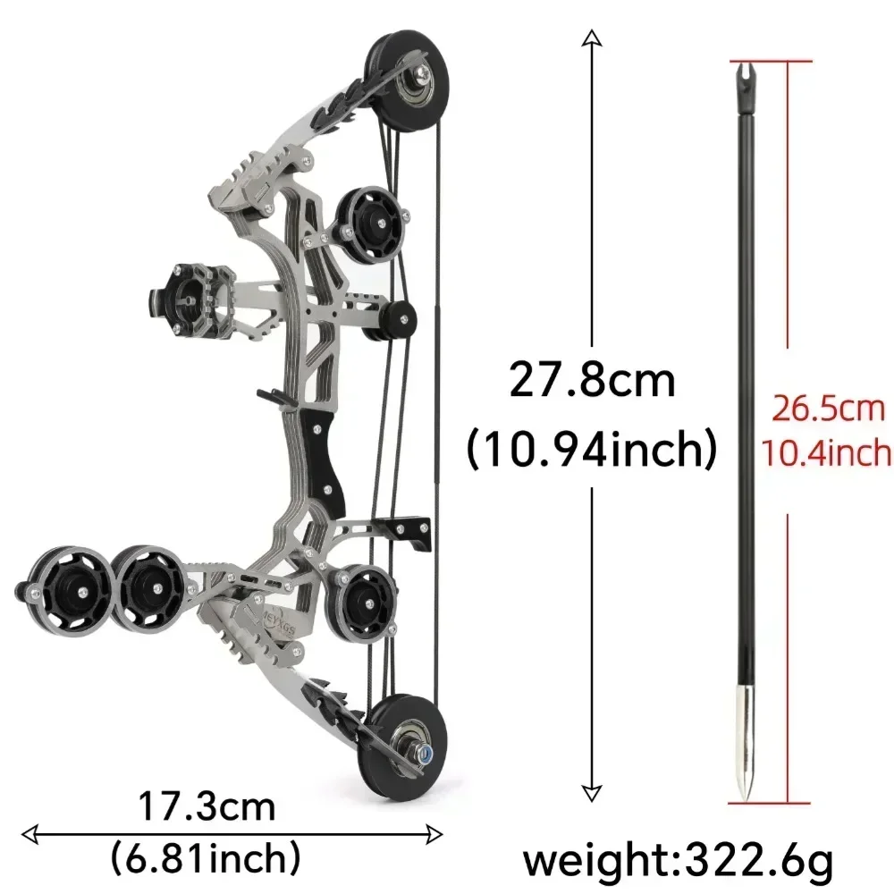 Mini Archery Compound Bow and 4/8pcs Arrows Kit Stainless Steel Pulley Bow,Outdoor/Indoor Sports Shooting Gift Game Pocket Bow 5