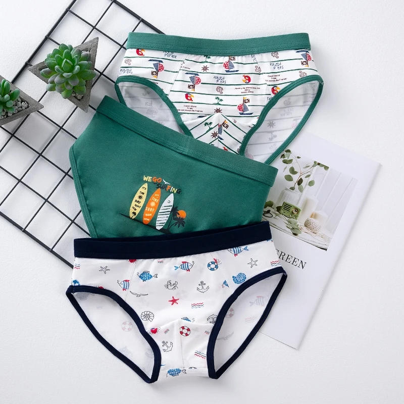 1503 briefs 3P