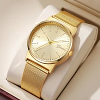 1PCs Women's Noble Temperament Watch Trend Simple Ladies' Luxury Mesh Strap Analog Quartz Watch The Best Choice For Girls' Gifts 1