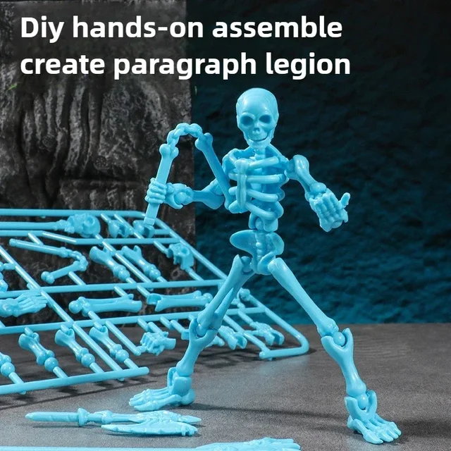 3D Skull Model Toy 2