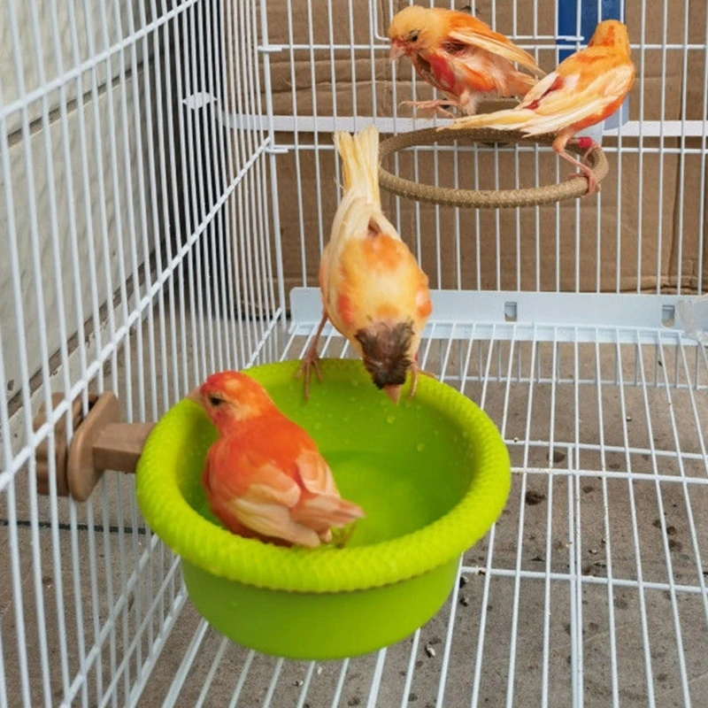 öƽ     ޹ ײ Ŵ޷ Birdbath   DropShip