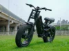 STLF Eahora Romeo Pro Custom Power 200w 100ow 300ow 2*120n-M E Bike 52v 60ah Long Range Electric Bicycle Cargo Electric Bike 3 STLF Eahora Romeo Pro Custom Power 200w 100ow 300ow 2*120n-M E Bike 52v 60ah Long Range Electric Bicycle Cargo Electric Bike 3