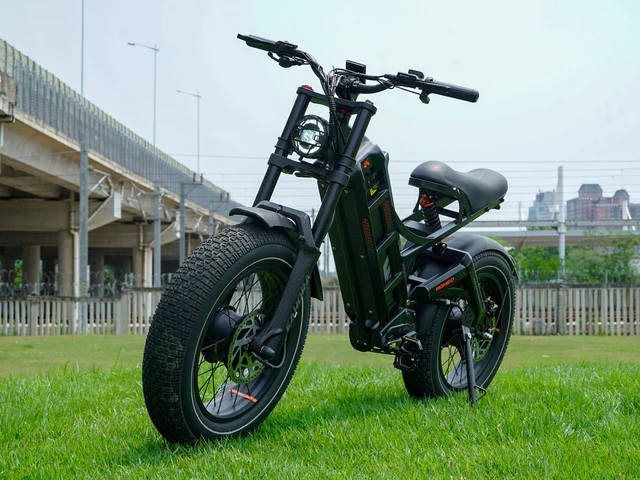 STLF Eahora Romeo Pro Custom Power 200w 100ow 300ow 2*120n-M E Bike 52v 60ah Long Range Electric Bicycle Cargo Electric Bike 3 STLF Eahora Romeo Pro Custom Power 200w 100ow 300ow 2*120n-M E Bike 52v 60ah Long Range Electric Bicycle Cargo Electric Bike 3