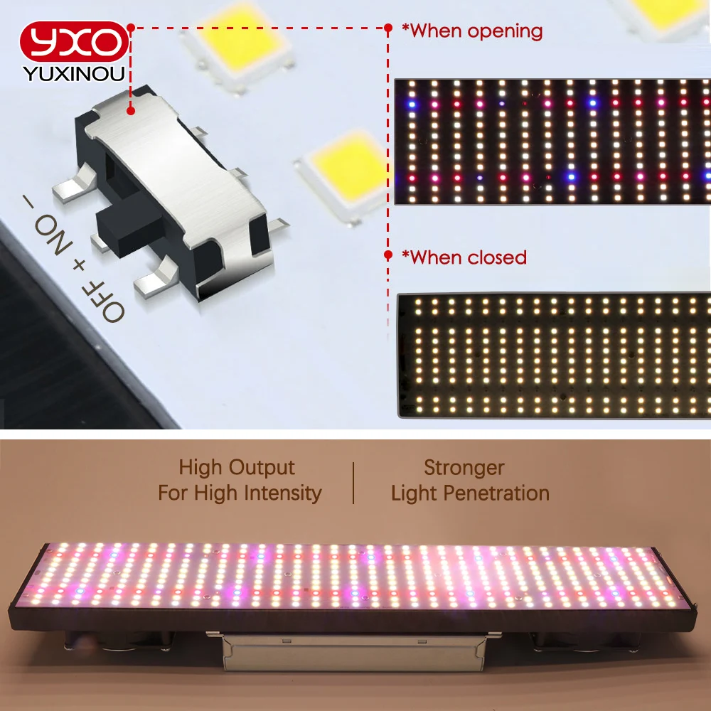 Hydroponics 240W 480W 720W Samsung Lm301H Led Coltiva La Luce Phytolamp Per Piante Quantum Tech Led Board Coltiva La Luce Per Serra