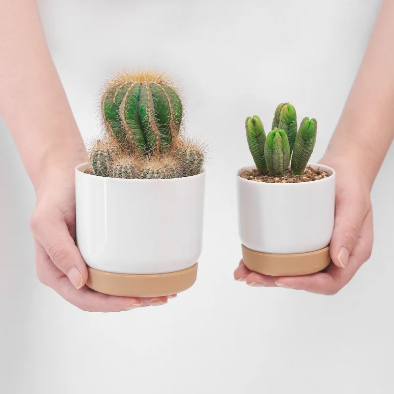 Plant Pot Flower Pot Vase 1 Pc For Cactus plants