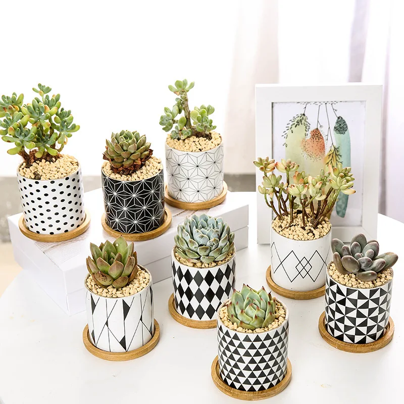 

Nordic Geometric Pattern Ceramic Succulent Pot Straight Simple Black and White Home Decoration Succulent Small Potted Plant