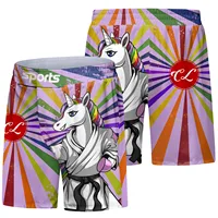 Cody Lundin Custom Wholesale For Men With Sublimation Printed No Gi Bjj Fight MMA Shorts Grappling Beach BJJ Training Shorts 2