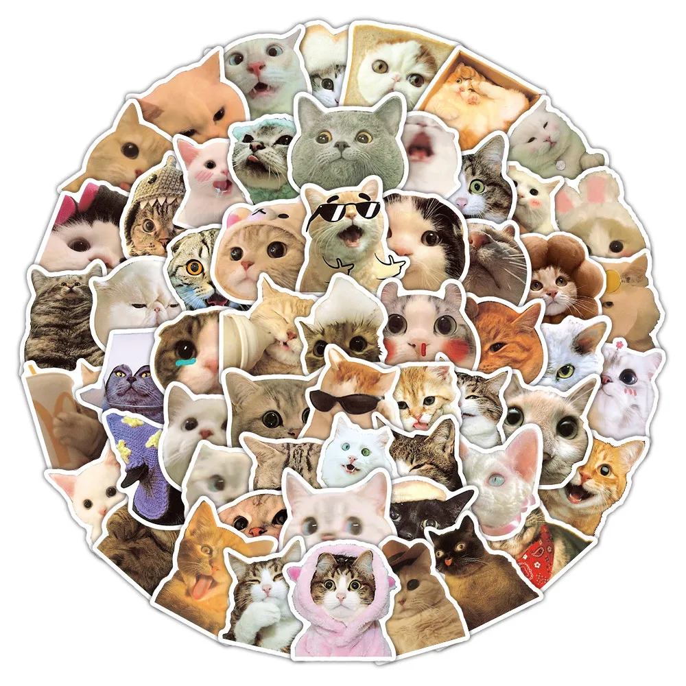 100 Stück entzückende Katzen-Emoji-Graffiti-Aufkleber, Kawaii-Kätzchenkopf-Doodle-Aufkleber, niedliche Dekoration für Laptops, Aufnahme, YourLife Store – Detail 2