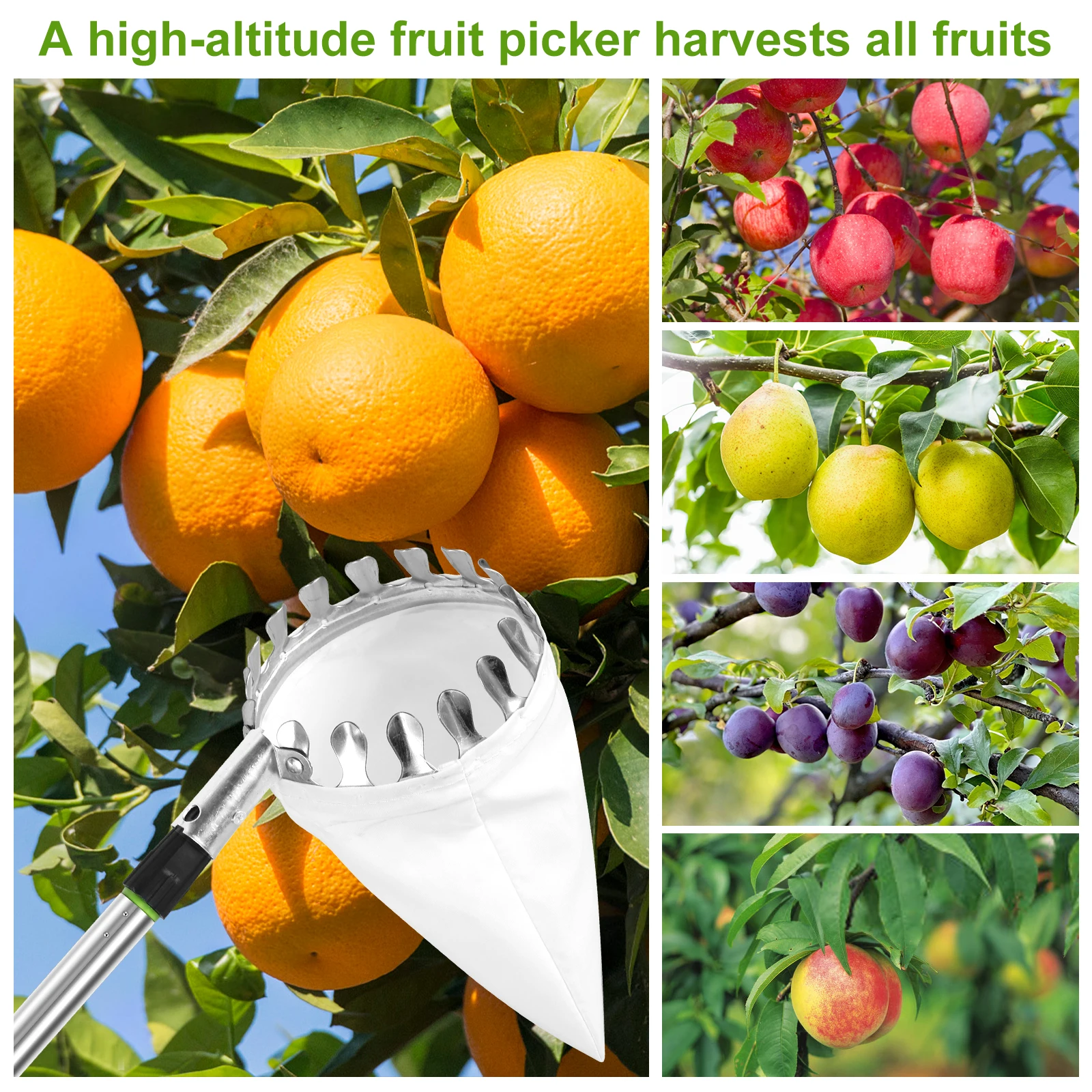 Description Picture 5 of itemMetal Fruit Picker Orchard Gardening Apple Peach High Tree Picking Tools Fruit Catcher Collection Pouch Farm Garden Supplies