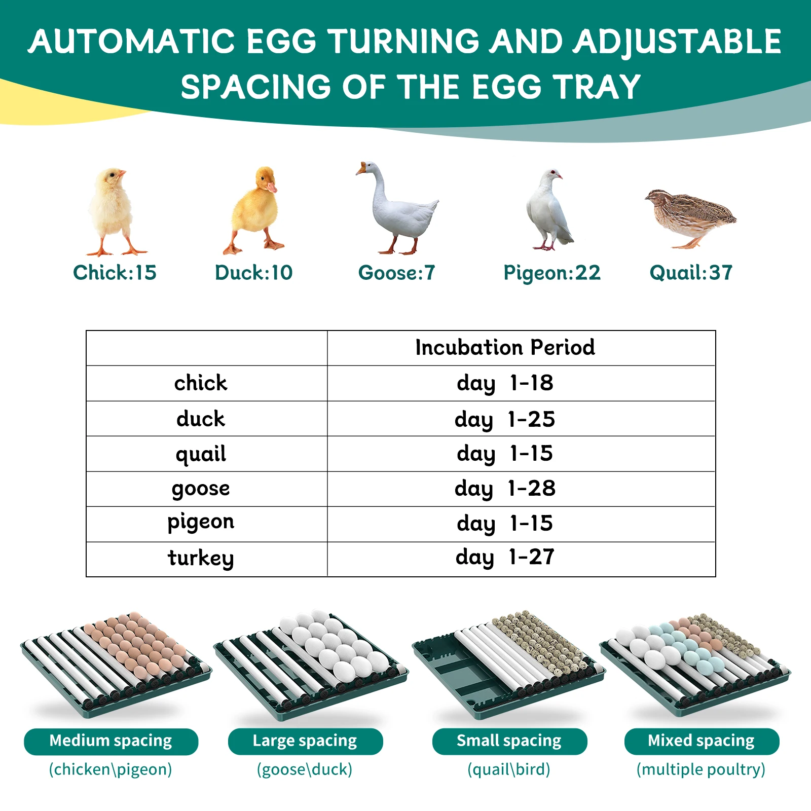 Automatic Egg Incubator 12Eggs Automatic Poultry Intelligent Incubator for Hatching Eggs for Hatching Chicken Quail Bird Duck