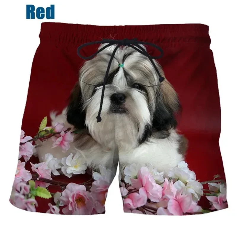 

Funny Lhasa Apso Shorts For Men Summer Beach Short Pants Hawaii Beach Swimming Pants Trend Swim Trunks Women Kid Cool Ice Shorts