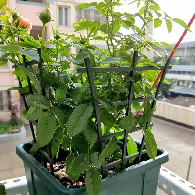 5 Darabos Növényi Tartó Állvány Kerti Műanyag Rácsos Virág Szőlő Mászó Növények Tartós - Image 5