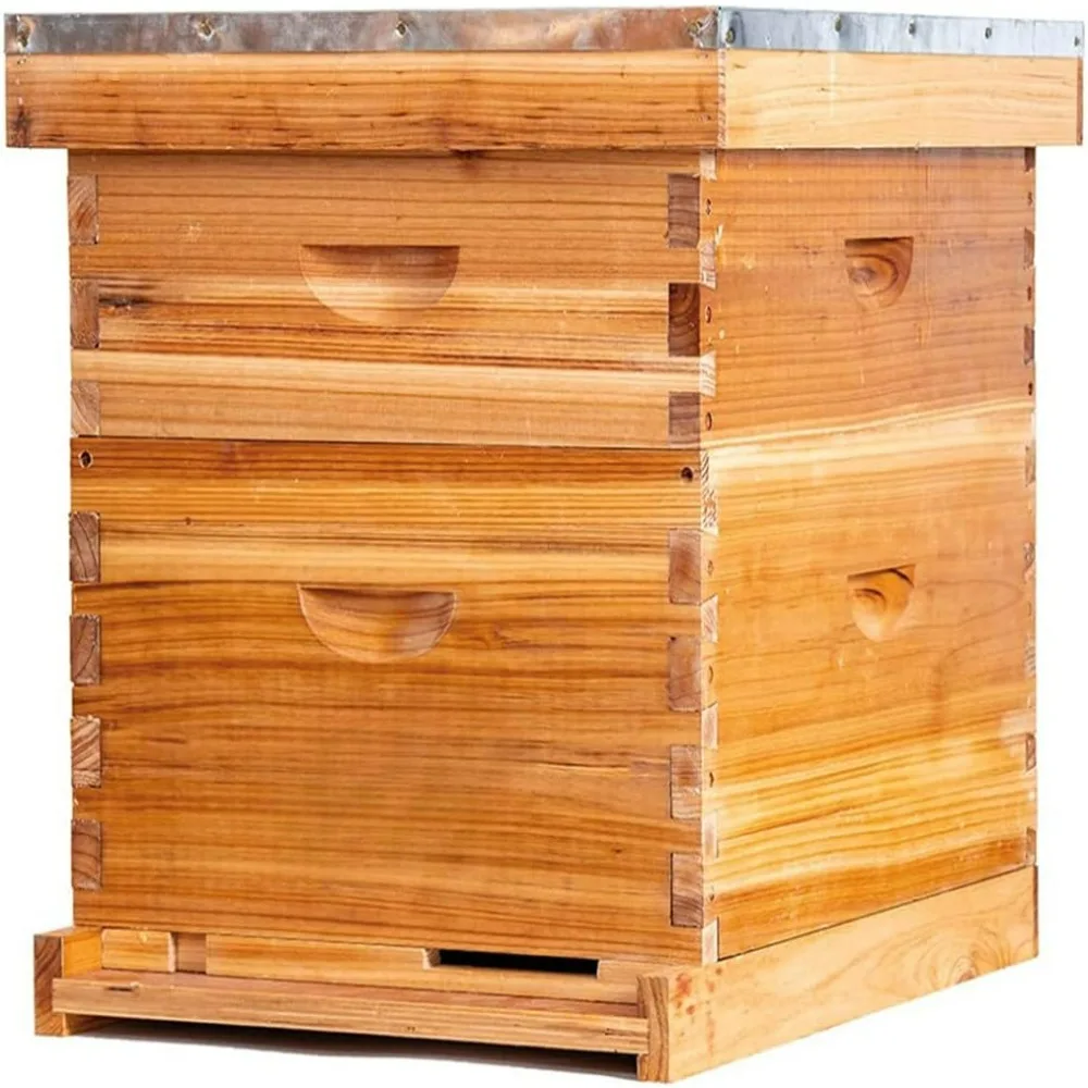 Bee Hive 10 Frame Bee Hives and Supplies Starter Kit, Bees Hive for Beginner Honey Bees Hives Super with Beehive Frames