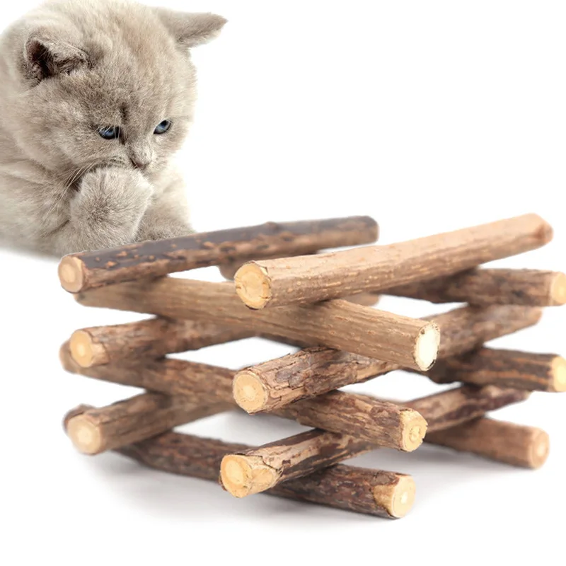 10/20PC Natural Matatabi Cat Snacks Sticks Cat Molar Stick Actinidia Fruit Silvervine Sticks Pet Cleaning Teeth