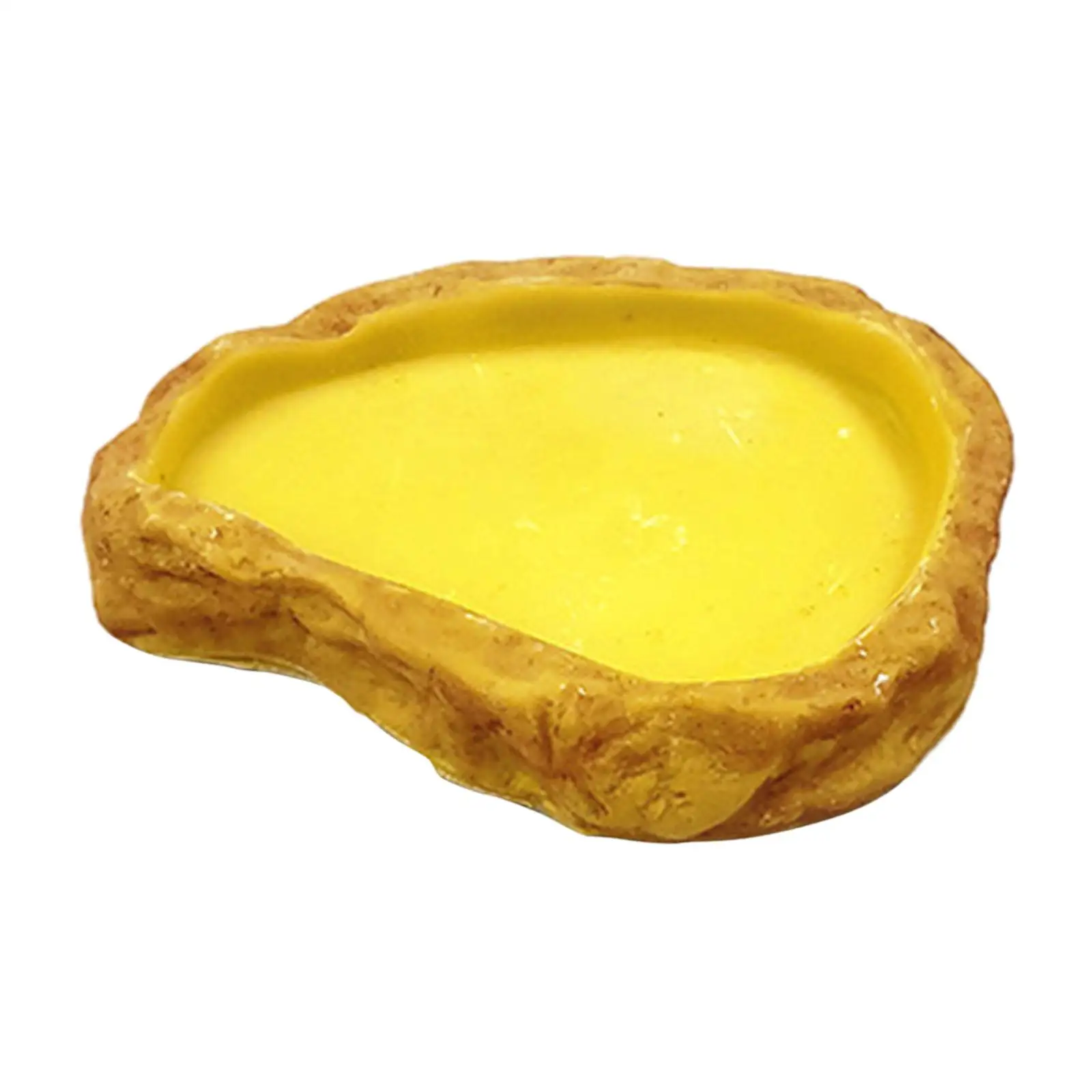 Reptile Water Bowl Resin Terrarium Water Dish Feeding Bowl Reptile Feeder for