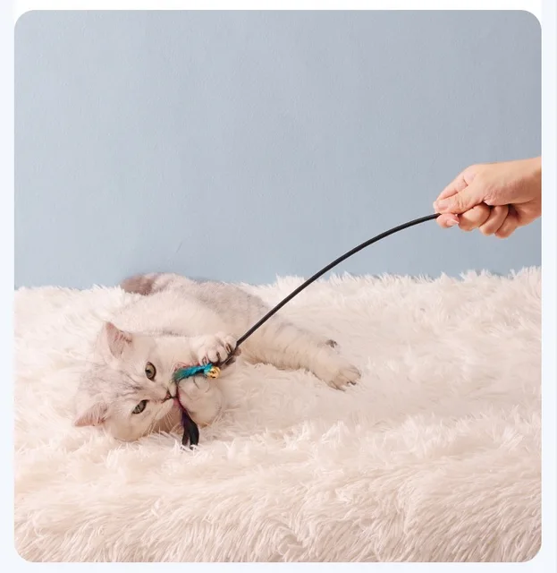 5pcs/set Cat Interactive Wand Colorful Feather Chicken Feather Cat Stick Bell Portable Creative Fashion Novelty Pet Cat Supplies 5