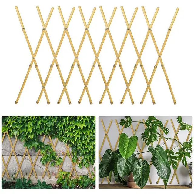 Bambusz Rácsos Virág Cserepes Mini Termesztési Növény Rács Bambuszrácsok Kerítések Kert Kerti Támogatás Ivy Uborka Beltéri Növekedés