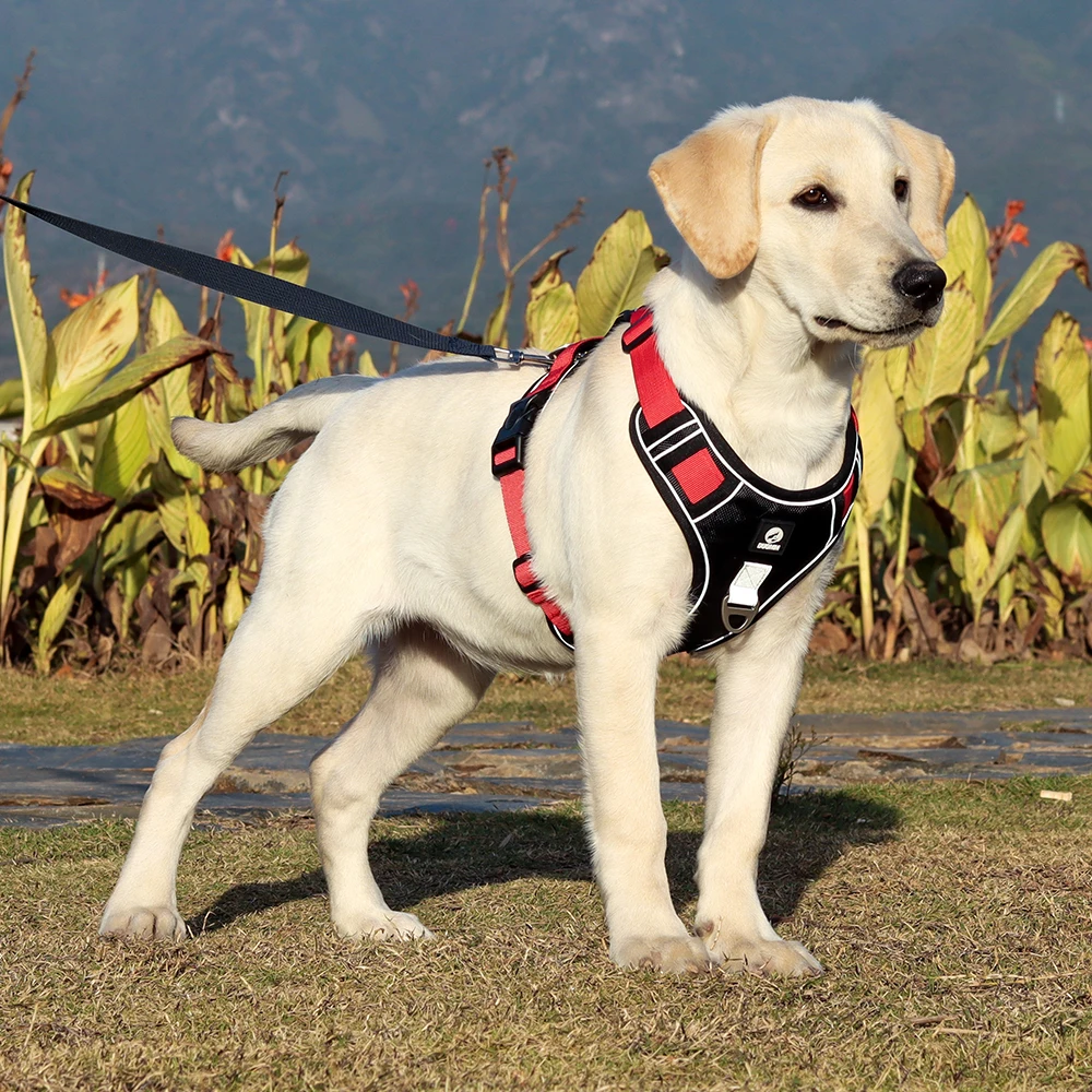 Dog Harness Reflective Vest For Medium Large Dogs Nylon Adjustable Pet Collars Outdoor Walking Dogs Chest Strap Dog Supplies