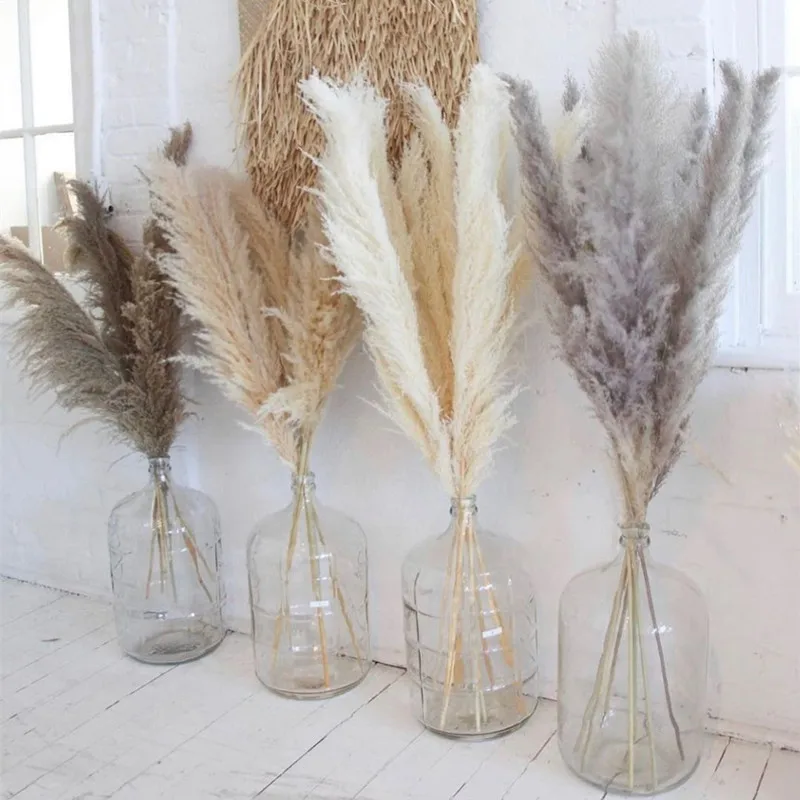 80Cm Large Pampas Grass Flowers Bouquet Fluffy Dried Floral Decoration - 5Pcs
