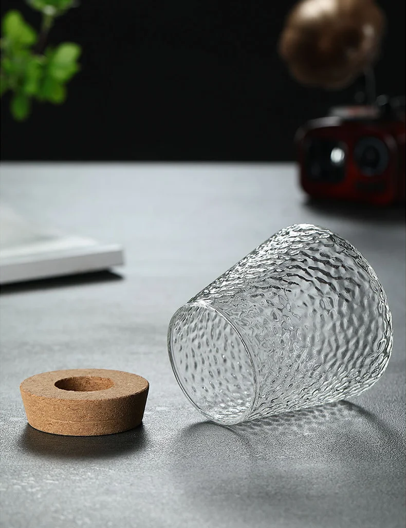 Nordic Simple Transparent Glass Vase