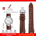 Brown-silver B
