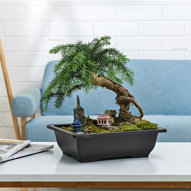 Virágcserepek Utánzat Lila Agyag Zamatos Növények Edények Kültéri Kerti Táj Bonsai Edény Tálcák Téglalap Alakú Négyzet Ültetvény - Image 5