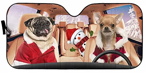 Рисунок 2 - Рождественский солнцезащитный козырек