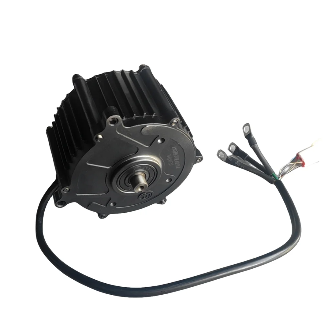 새로운 스타일의 48V 500W BLDC IPM 모터