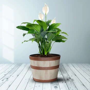 Whiskey Barrel Resin Planter 4