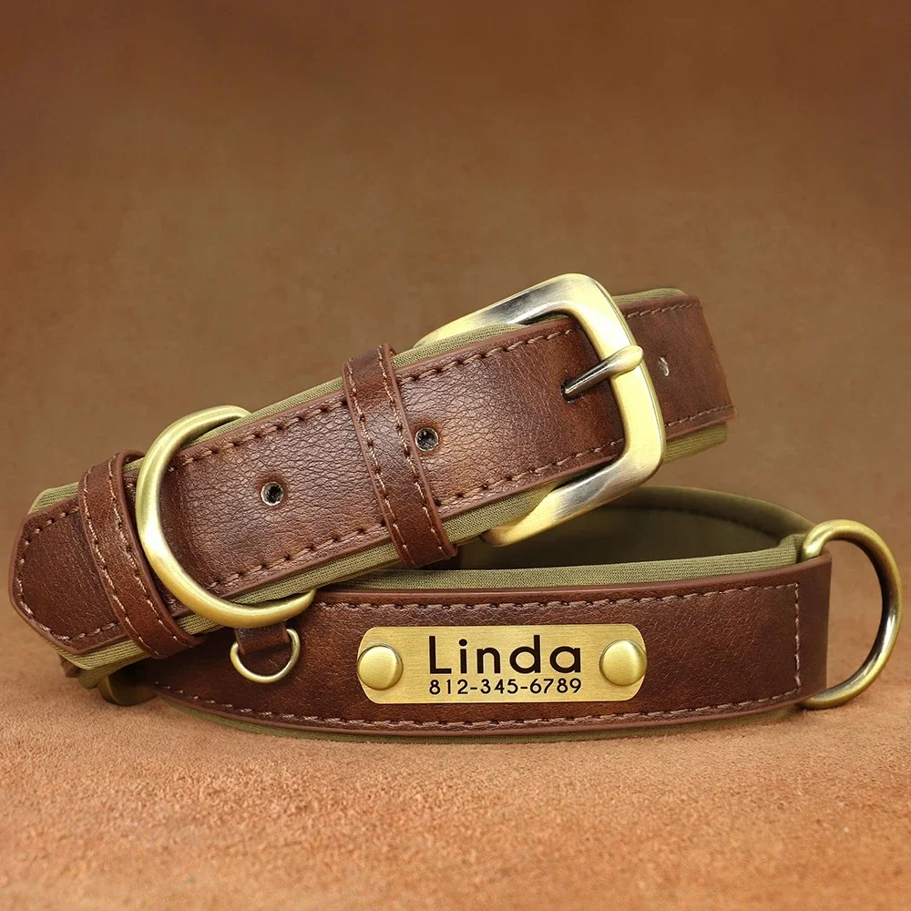 Personalized Soft Padded Leather Dog Collar and Leash with Engraved Nameplate
