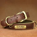 Brown Collar