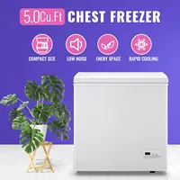 Freezer 5.0Cubic Feet with Intelligent Temperature Control(-15°F to 41°F), Deep Freezer with TWO Hanging Baskets and Side Defros 2