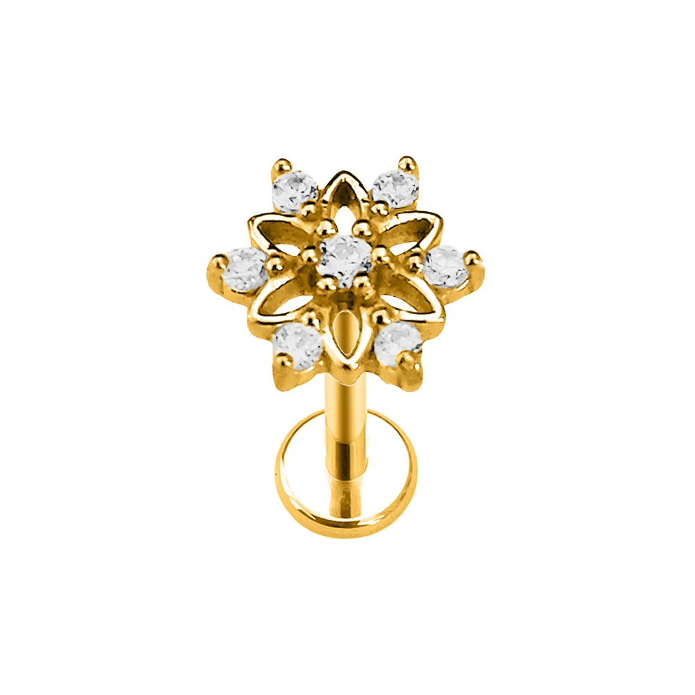Heart Bird Flower Butterfly Labret Piercing Eye Shape Daith Conch Earring Teardrop CZ Lip Stud 316L Surgical Steel 16G