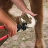 Farrier Tools 14-inch Horseshoe Trimming Sets，Contain Hoof Rasp Horse Nipper Knife  Brush，Professional 4 in 1 Hor 5