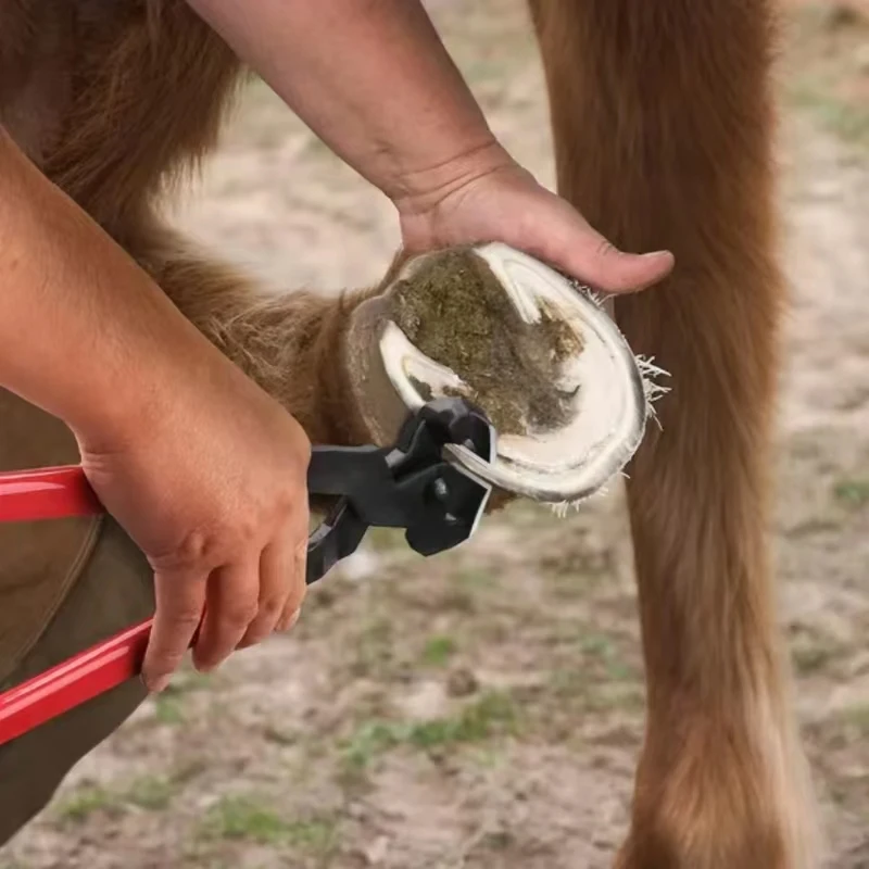 Farrier Tools Professional Farrier Tool Kits Hoof Rasp Hoof Nippers Hoof Knife Horses Hoof Trimmers Tools Suitable for Hoof Trim 4