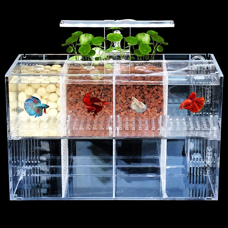 

Creative Small Fish Fry Breeding Isolation Box Acrylic Desktop Fish Tank Aquarium Gift With LED Light