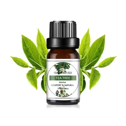 Organic Essential Oil Variety for Aromatherapy, Candle, and Soap Making (Tea Tree)