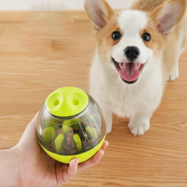 צעצוע כדור אליפסה לחטיפים לכלבים