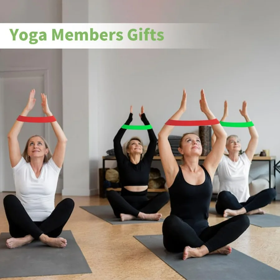 100 PCS Bulk Resistance Bands, Loop Exercise Bands Set for Gym Members Sports Class Students Gift, 5 Pieces Each Set with Storag