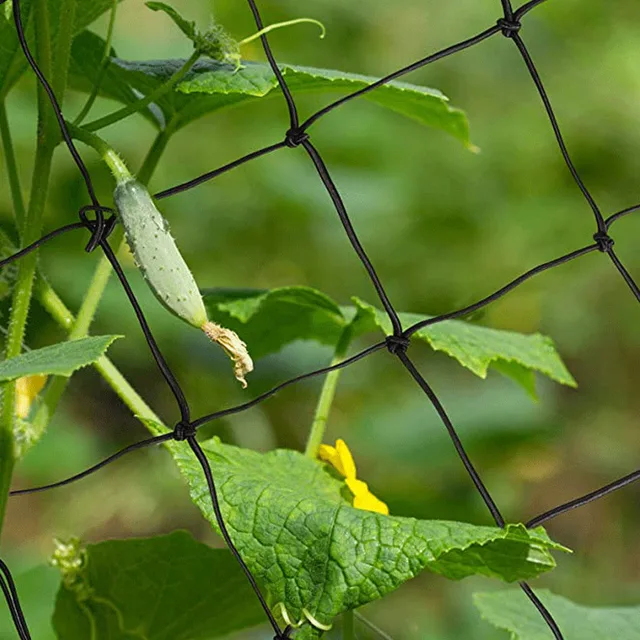 Kerti Művészeti Hálózat Ültetés Sátra Kertészeti Virág, Fű Gyümölcs És Zöldségnövekedési Sátorháló A Gyümölcsök Támogatására Szolgált - Image 3