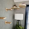Wall Mounted Cat Wall Furniture Wooden Cat Shelves Climbing Steps & Hanging Hammock Cat Wall Perch for Indoor Cats Scratching