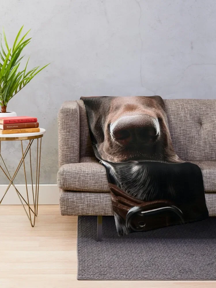 ������� ���� �ܹ� ������ ��ô ���, �ʴ��� ��ô ����, ũ�������� ���, ��Ʈ ���